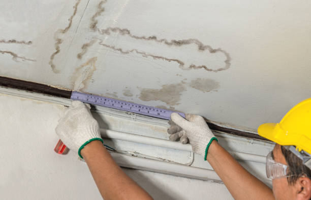 Affordable Water Damage Repair solutions in Holcomb, KS